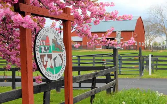 Farm Sign