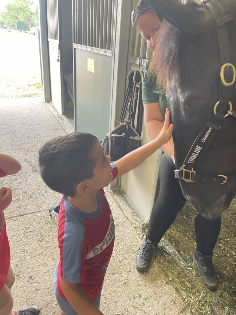 Petting horse 1